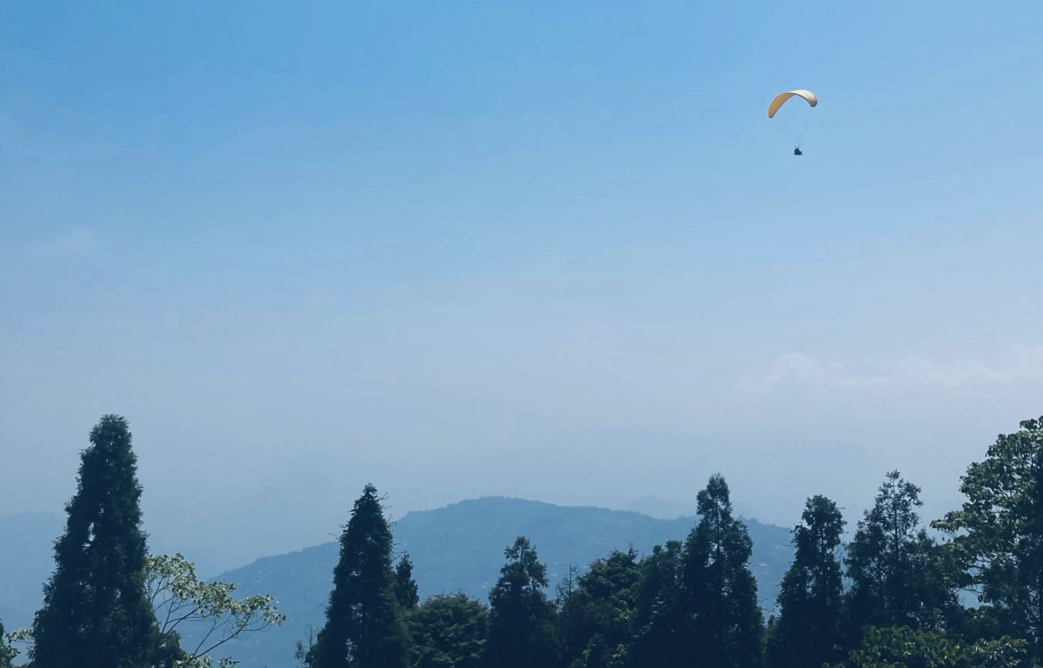 Flying High